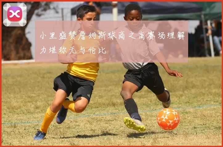 小里盛赞詹姆斯球商之高赛场理解力堪称无与伦比